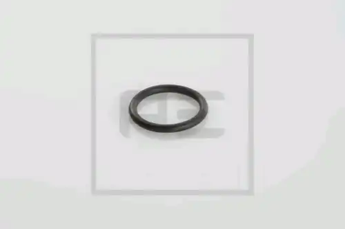 Кольцо уплотнительное автомобильное PE 046.219-00A