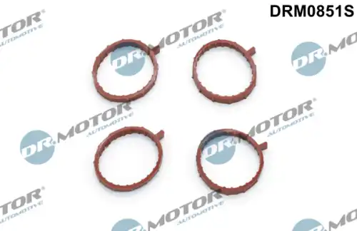 Прокладка коллектора DR. MOTOR DRM0851S