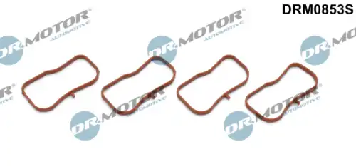 Прокладка коллектора DR. MOTOR DRM0853S