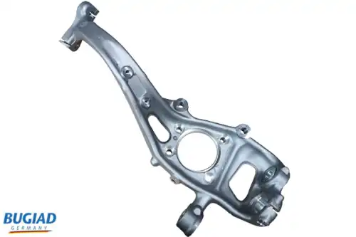Поворотный кулак BSP25400 BUGIAD