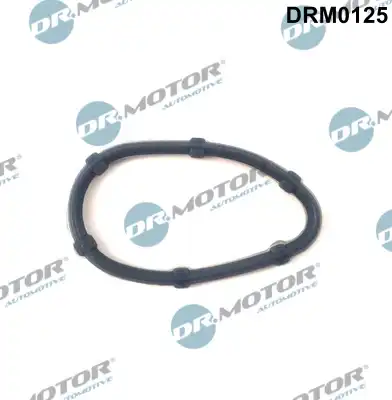 DR. MOTOR DRM0125
