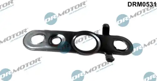 Кольцо уплотнительное автомобильное DR. MOTOR DRM0531