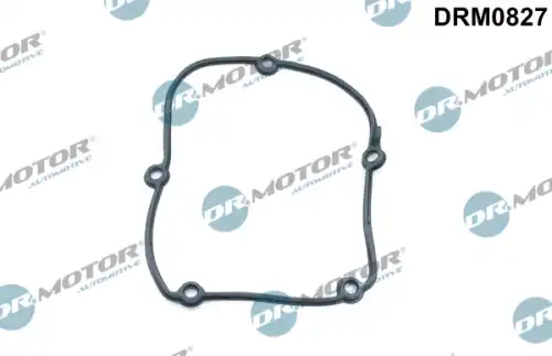 Прокладкa DRM0827 DR. MOTOR