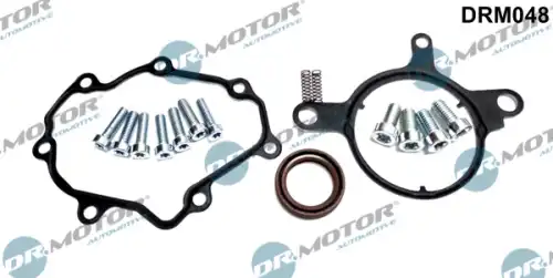 Ремкомплект DRM048 DR. MOTOR