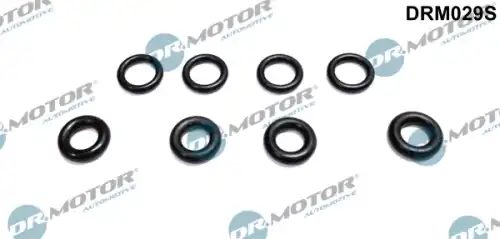 Кольцо уплотнительное форсунки DR. MOTOR DRM029S