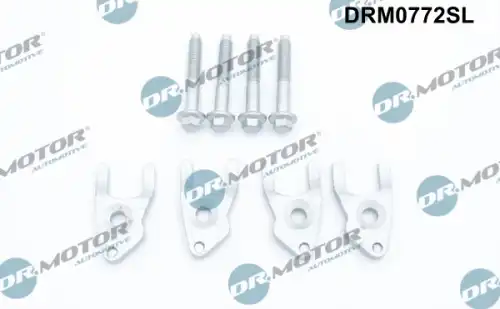 Ремкомплект DRM0772SL DR. MOTOR