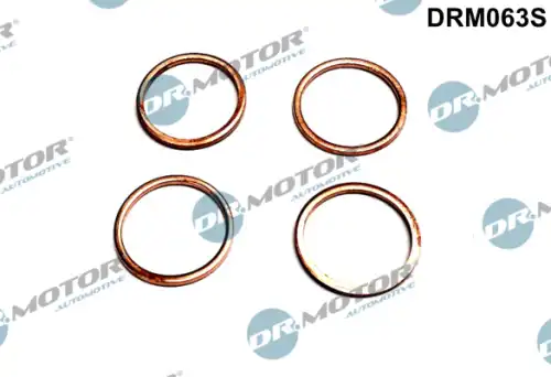 Кольцо уплотнительное форсунки DR. MOTOR DRM063S