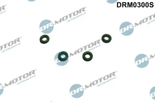 Кольцо уплотнительное форсунки DR. MOTOR DRM0300S