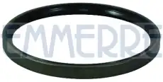 Уплотняющее кольцо, ступица колеса 101509 EMMERRE