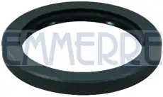 Уплотнительное кольцо 101504 EMMERRE