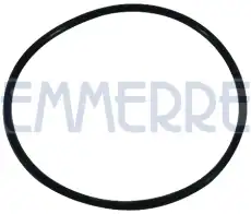 кольцо уплотнительное ступицы ! \ IVECO 103635 EMMERRE