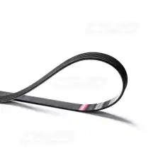CS20 15335