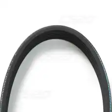 CS20 15335