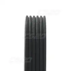 CS20 15335