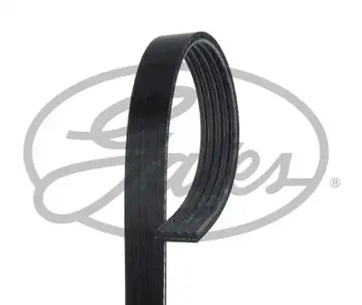 GATES K050516RPM