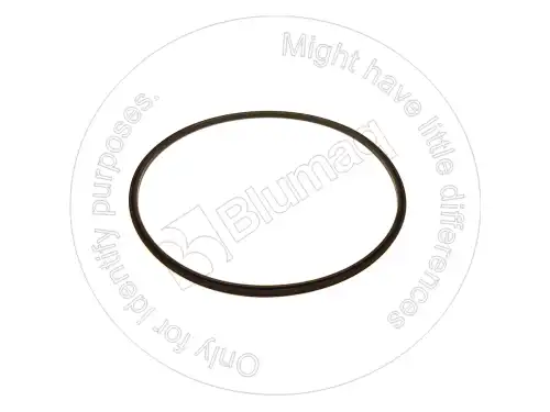 КОЛЬЦО 1217639 BLUMAQ