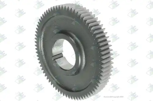 GEAR C/S 73 T. 35530548 EURORICAMBI