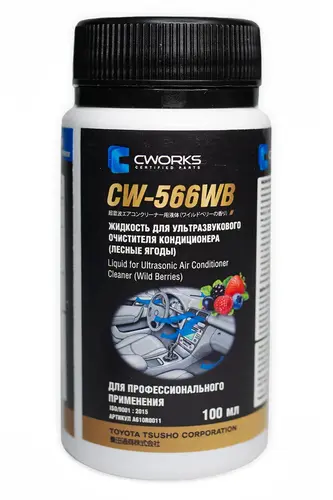 Очиститель кондиционера CWORKS A610R0011