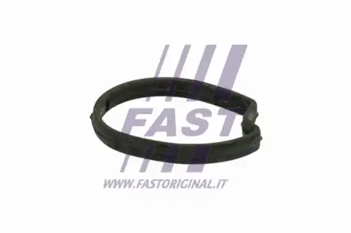 Прокладка термостата FT58301 FAST