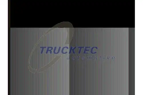 ШАЙБА 02.12.017 TRUCKTEC