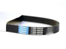 NISSAN 119500M200