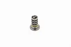 Клапан р.в. D=21 5090551 BORG WARNER