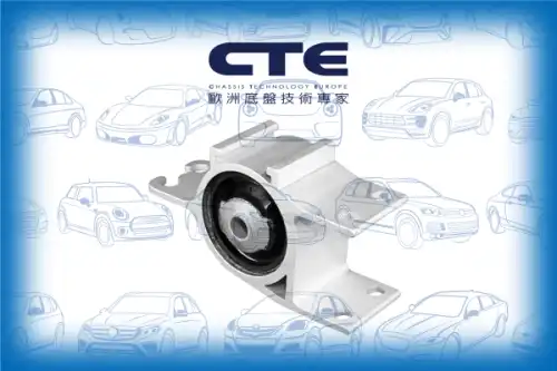 Рычаг подвески CTE CBH21043L
