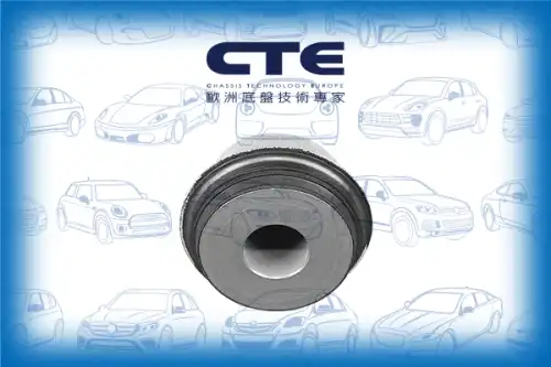 Рычаг подвески CTE CBH21044