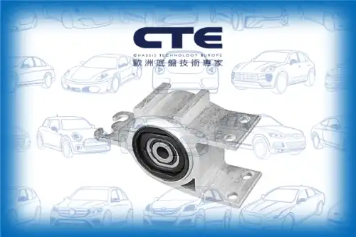 Рычаг подвески CTE CBH21042L