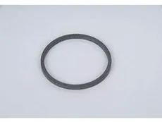 24237428 КОЛЬЦО ГИДРОИЗОЛЯЦИИ МУФТЫ (АКПП) OPEL