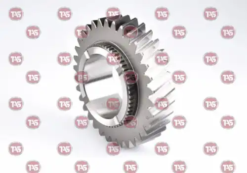 T53398 Шестерня, ZF 0091304317 TAS