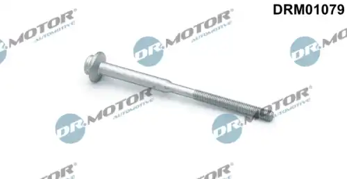 DRM01079 Болт, крепление форсунки DR. MOTOR
