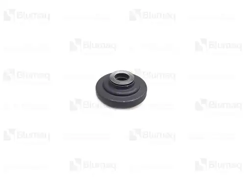 6I2663 КОЛПАЧОК BLUMAQ