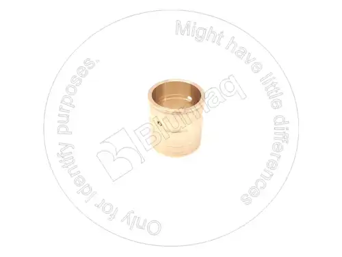 1461843 1461843 Подшипник BLUMAQ