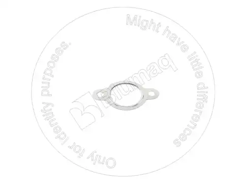 Коллектор выпускной BLUMAQ 1304832H1