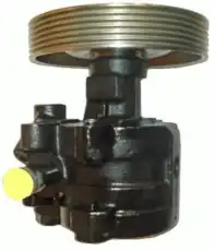 Насос гидроусилителя руля SERCORE 07B502A