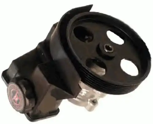 Насос гидроусилителя руля SERCORE 07B494DC