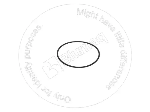 ЗАЩИТНОЕ КОЛЬЦО для САТ 2K6830 BLUMAQ