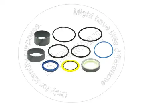 КОМПЛЕКТ УПЛОТНЕНИЯ для САТ 3769017 BLUMAQ