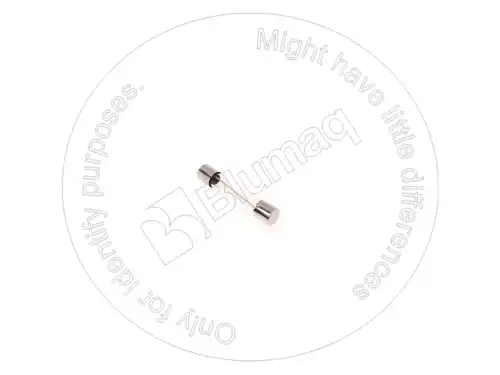 ПЛАВКИЙ ПРЕДОХРАНИТЕЛЬ для САТ 2Y8625 BLUMAQ