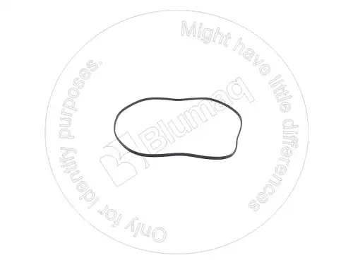Прокладка клапанной крышки BLUMAQ 5I7905
