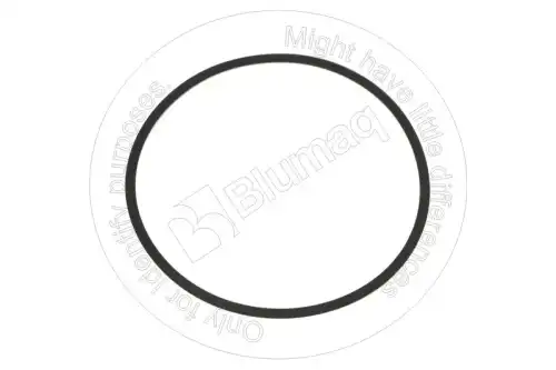 УПЛОТНЕНИЕ Blumaq 0634306083