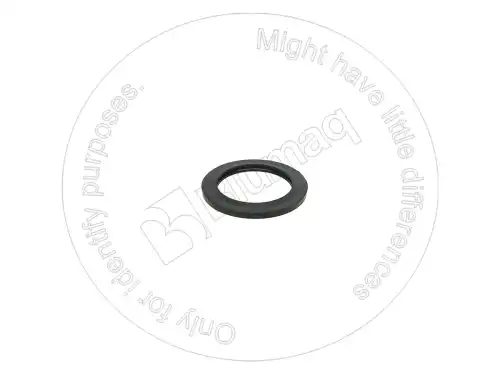 0700502216 УПЛОТНЕНИЕ BLUMAQ