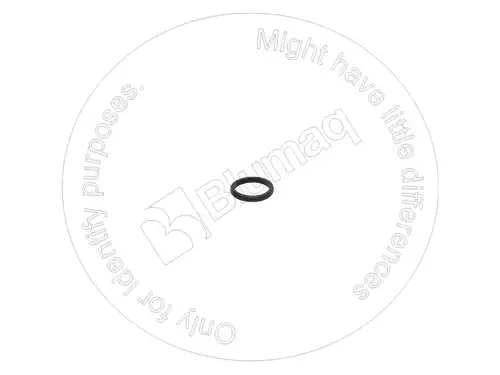1P3703 Уплотнение BLUMAQ