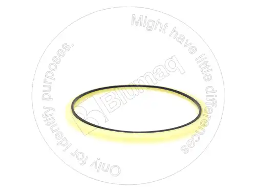 УПЛОТНЕНИЕ для САТ 0965169 BLUMAQ