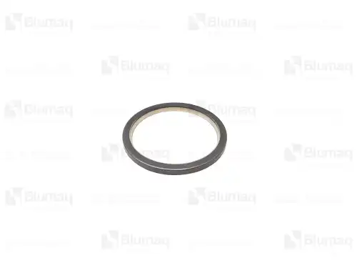 УПЛОТНЕНИЕ для САТ 1661497 BLUMAQ