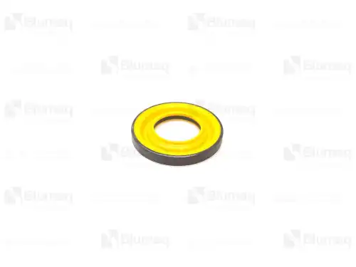 УПЛОТНЕНИЕ для САТ 8G4190 BLUMAQ