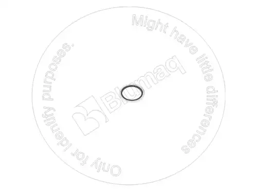 ШАЙБА для САТ 5I8067 BLUMAQ