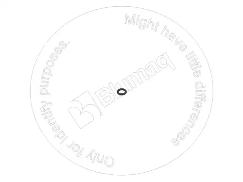 УПЛОТНИТЕЛЬНОЕ КОЛЬЦО для САТ 4J2506 BLUMAQ