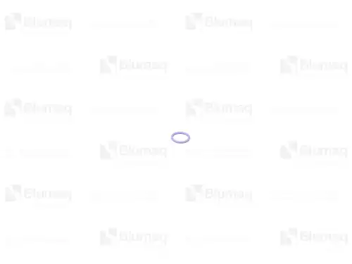 УПЛОТНИТЕЛЬНОЕ КОЛЬЦО для САТ 6V6609 BLUMAQ